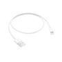 Cable Lightning / USB (0,5m)